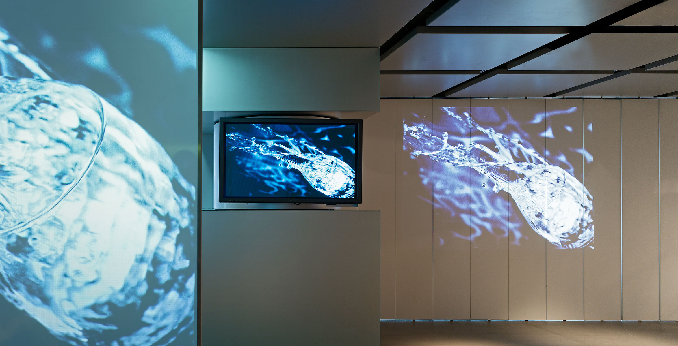 Miele Lab, Hong Kong